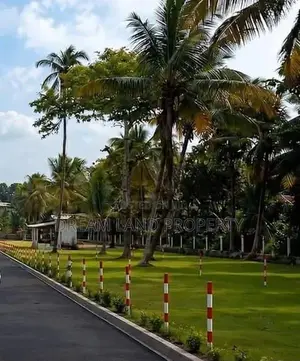 Land for Sale Narammala