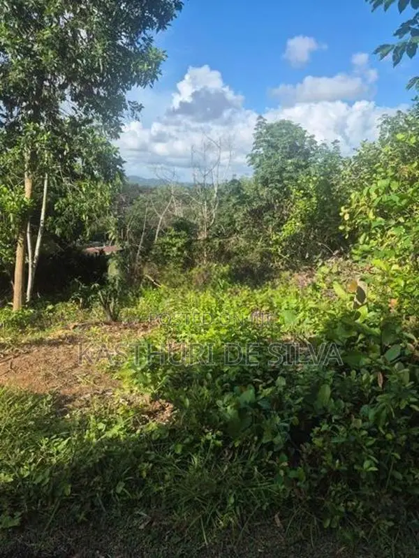 කුරුඳුගහහැතැක්මෙන් පර්චස් 23 ට 10 නොමිලේ