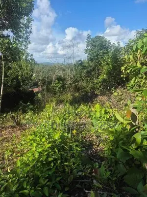 කුරුඳුගහහැතැක්මෙන් පර්චස් 23 ට 10 නොමිලේ