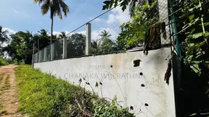 Land for Sale Pallandeniya, Kurunegala