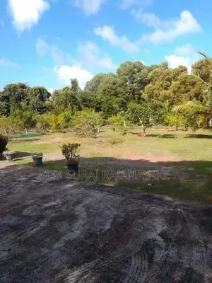 කටුනායක - ආඩිඅම්බලම ප්‍රදේශයෙන් පර්චස් 15ක්