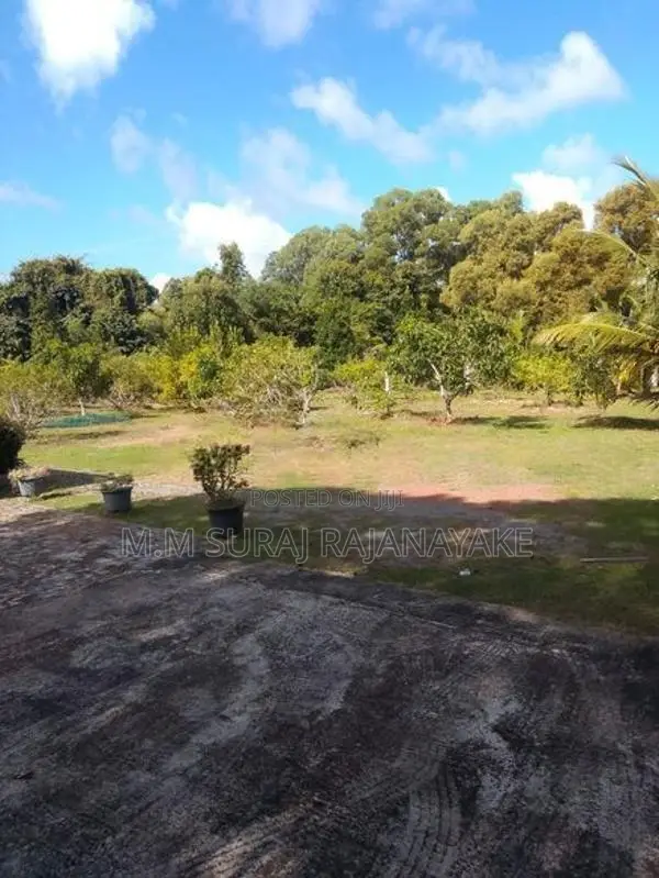 කටුනායක - ආඩිඅම්බලම ප්‍රදේශයෙන් පර්චස් 15ක්