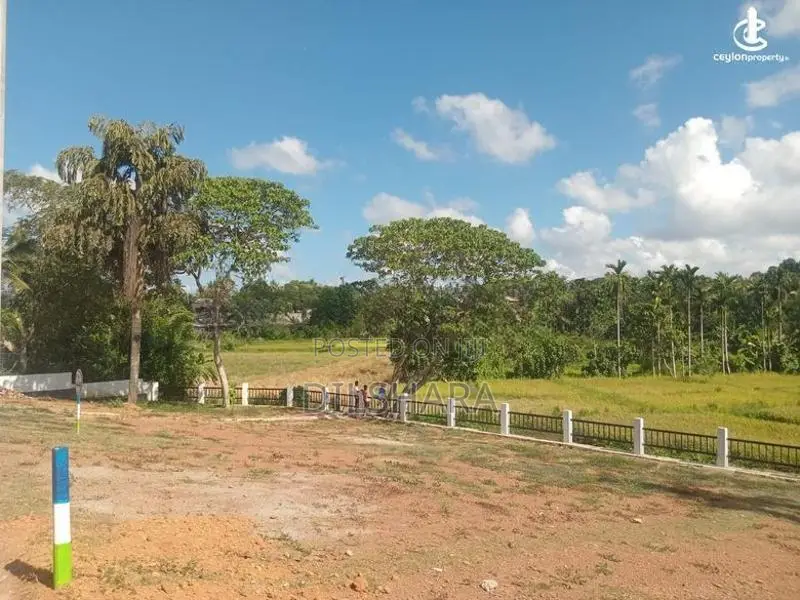 Tourism Land Talalla