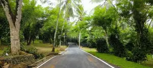 Fruit Land plots sale in Meegoda