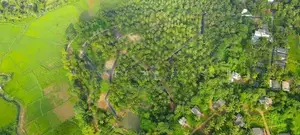 Fruit Land plots sale in Meegoda