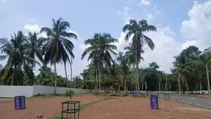 කඩවත නුවර පාරින් වටිනා බිම් කොටස් විකිනීමට