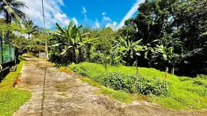 Kadawatha Imbulgoda Valuable Residential Land for Sale