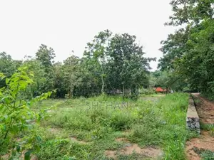 215 Perches Commercial Land for Sale - Peliyagoda