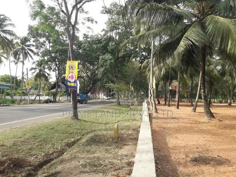ව්‍යාපාරික බිම් කොටසක් විකිනීමට බලල්ල