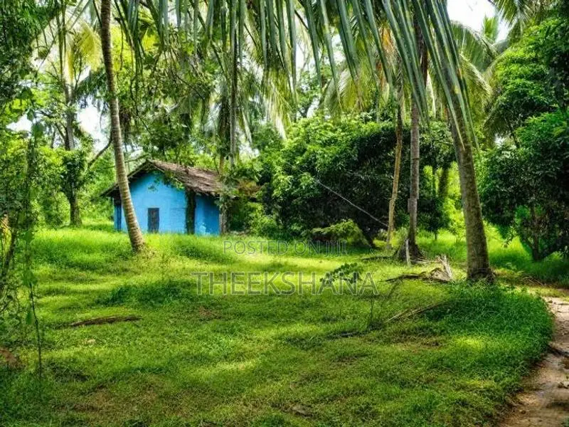 Land For Sale In Hiripitiya