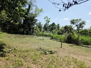අගනා ඉඩම් කැබලි කිහිපයක් විකිණීමට