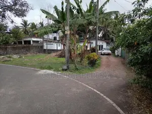 Land For Sale With An Old Boarding House - Bokundara