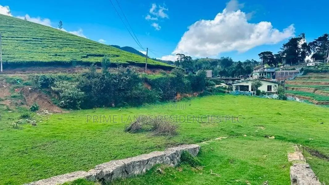 Lands for sale in Kandpola