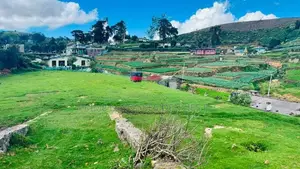 Lands for sale in Kandpola