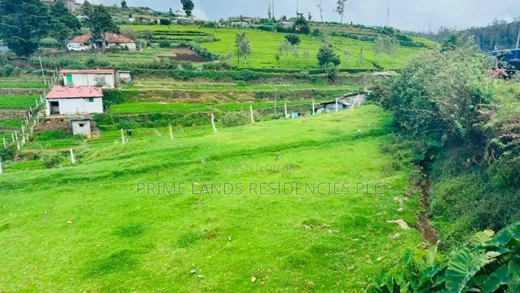 Lands for sale in Kandpola
