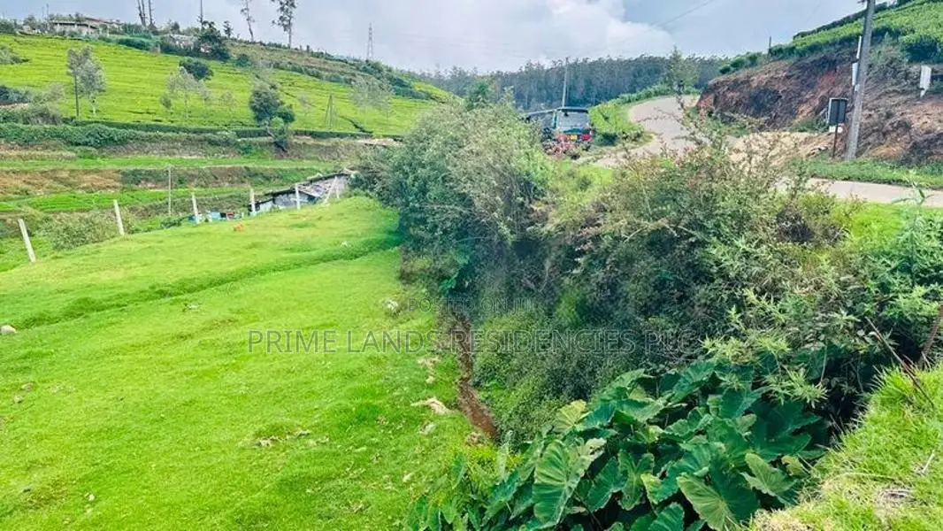 Lands for sale in Kandpola