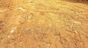 NUGEGODA : 14.6 PERCHES PRIME LAND FOR SALE