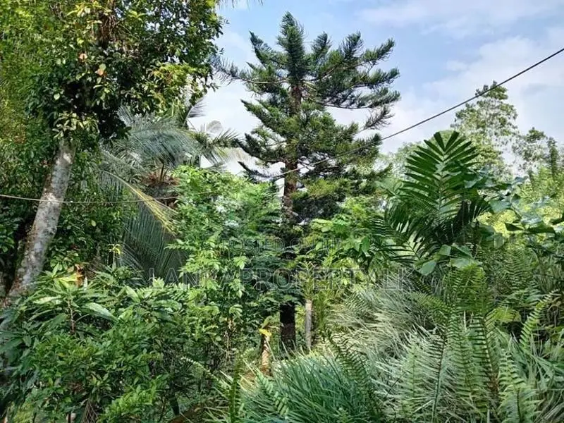 Land for Sale a Valuable Commercial in Peradeniya.