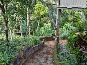 Land for Sale a Valuable Commercial in Peradeniya.