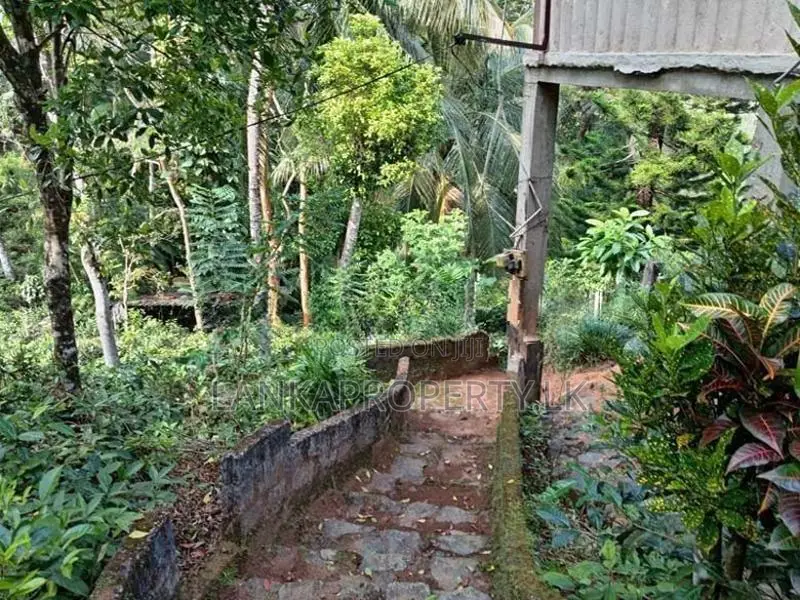 Land for Sale a Valuable Commercial in Peradeniya.