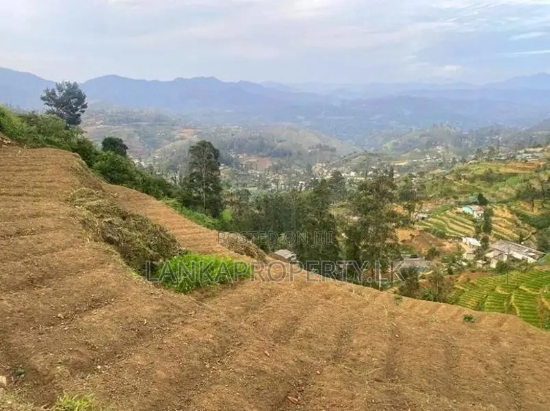 Ambewela Estate Land” for Sale – Rendapola Road, Nuwara Eliya