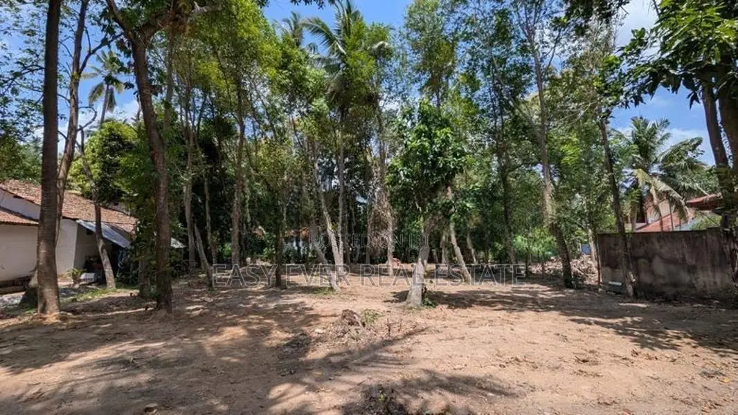 මිනුවන්ගොඩින් ආදායමක් ගෙනෙන සුපිරි ආයෝජනයක්!