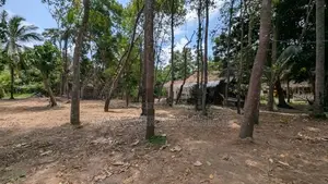 මිනුවන්ගොඩින් ආදායමක් ගෙනෙන සුපිරි ආයෝජනයක්!