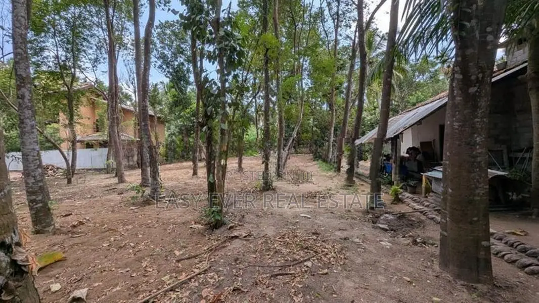 මිනුවන්ගොඩින් ආදායමක් ගෙනෙන සුපිරි ආයෝජනයක්!