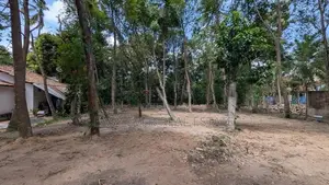 මිනුවන්ගොඩින් ආදායමක් ගෙනෙන සුපිරි ආයෝජනයක්!