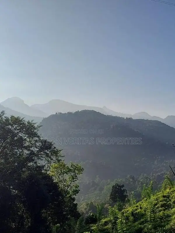 Former 25 Acres Land Tea Plantation Two-Storey Residence for Sale
