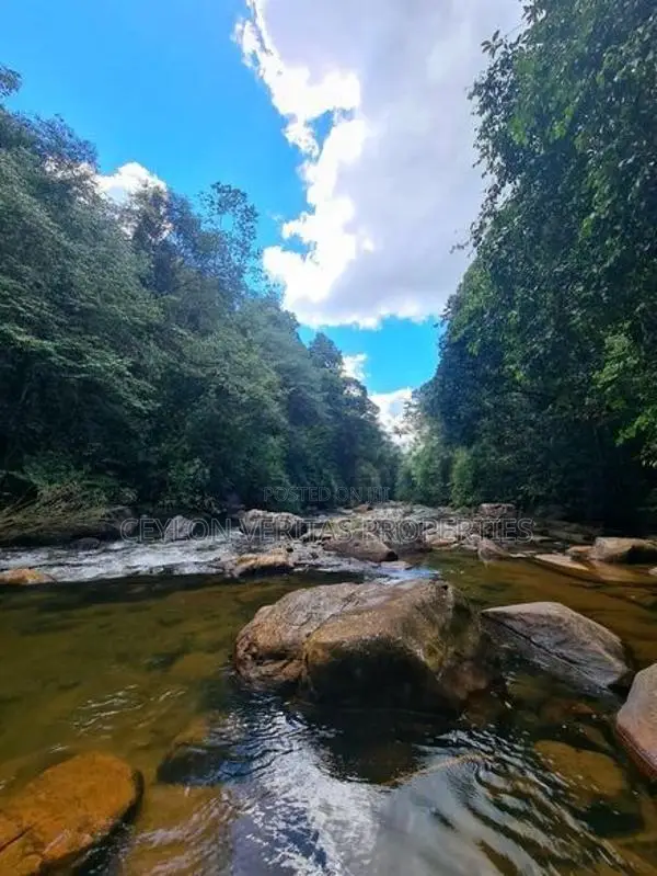 Former 25 Acres Land Tea Plantation Two-Storey Residence for Sale
