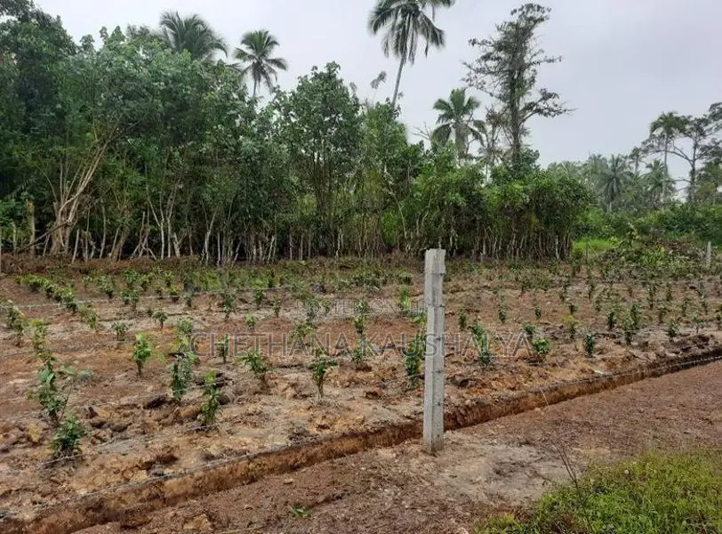 Land For Sale In Bentota