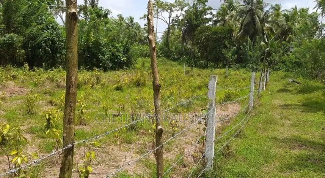 Land For Sale In Bentota