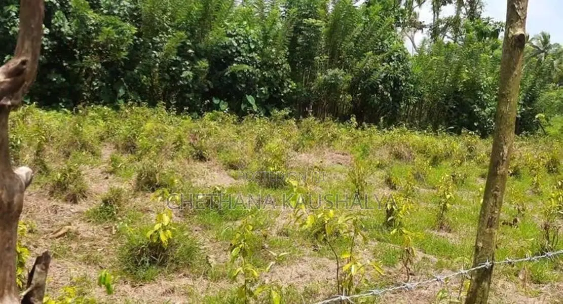 Land For Sale In Bentota