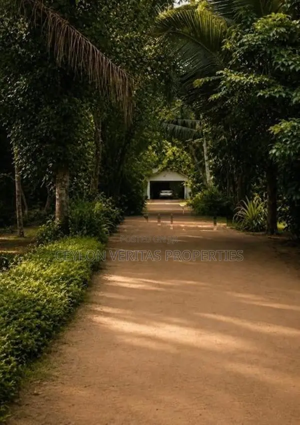 Land for Sale in Palugahawela