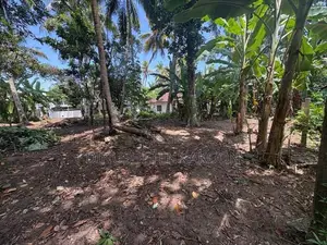 Valuable Residential Land for Sale - Panadura