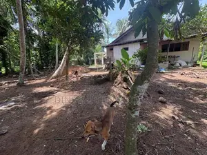 Valuable Residential Land for Sale - Panadura