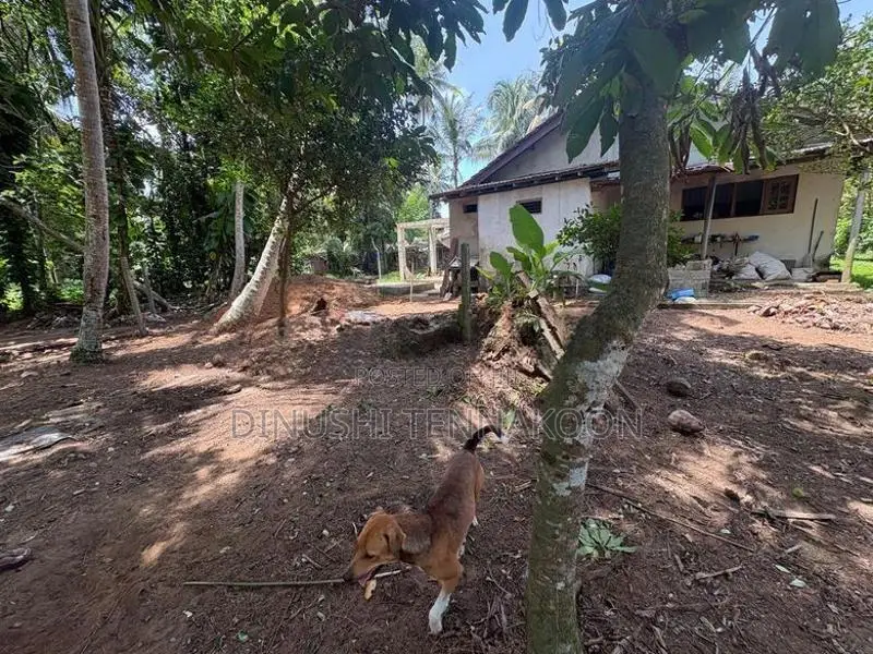 Valuable Residential Land for Sale - Panadura