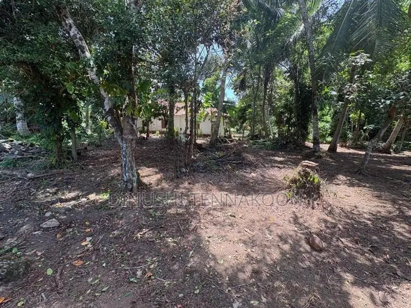 Valuable Residential Land for Sale - Panadura