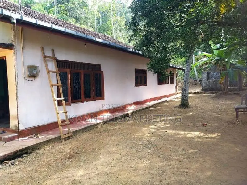 Cinnamon Land with House for Sale in Elpitiya