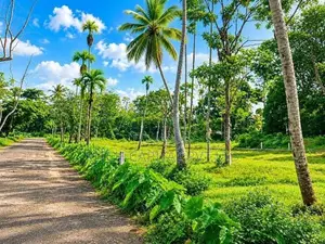 Tourism Land in Koggala
