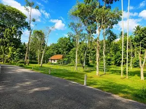 Tourism Land in Koggala