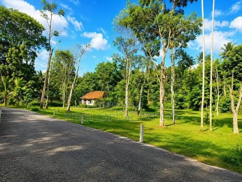 Tourism Land in Koggala