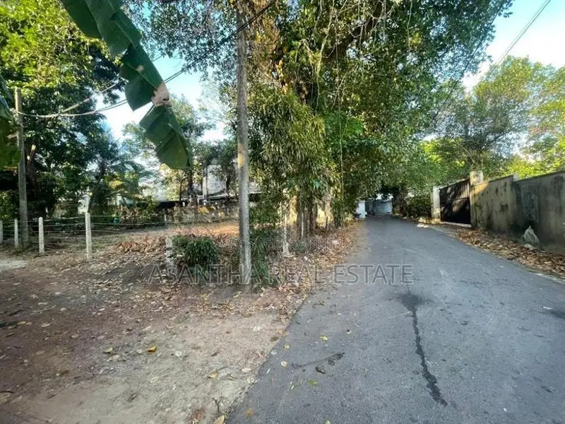 (AFA497) 13.2 P Land Sale At 5th Lane Nawala