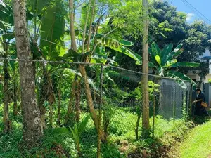 Land For Sale In Kamburugamuwa, Labeema Road, Sisilasa Uyana