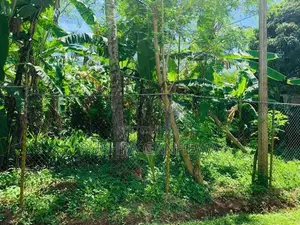 Land For Sale In Kamburugamuwa, Labeema Road, Sisilasa Uyana