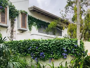 Luxury Furnished House for Rent in Colombo 5