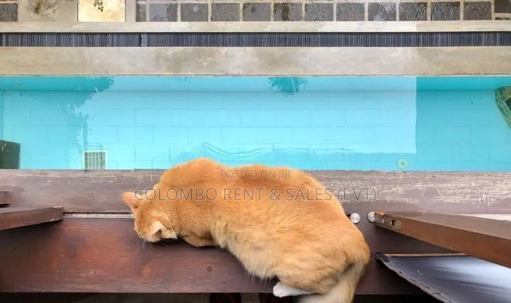 Luxury Furnished House for Rent in Colombo 5
