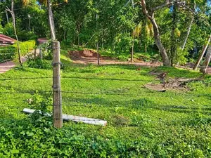 15 Perches Land for Sale in Mirissa (SSPL-512)