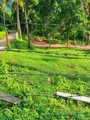 15 Perches Land for Sale in Mirissa (SSPL-512)